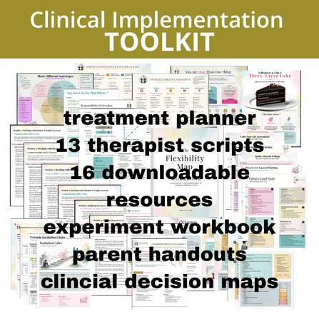 clinical implementation toolkit