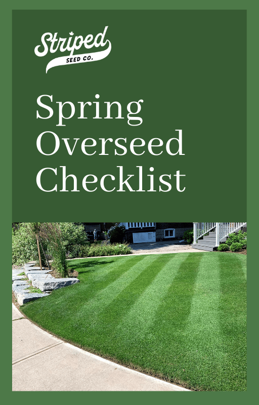 Canadian Spring Overseeding Lawn Checklist