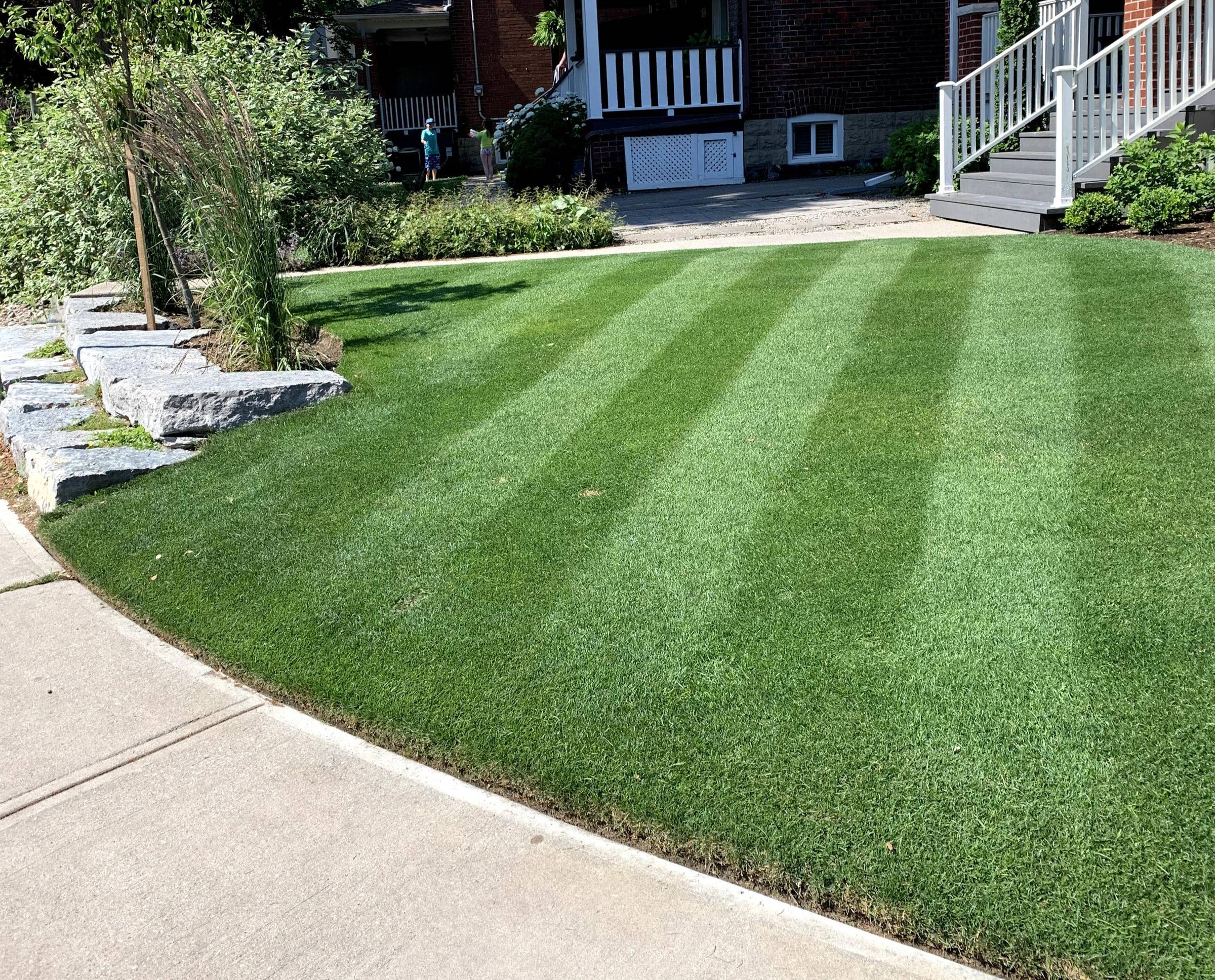 Canadian Spring Overseeding Lawn Checklist