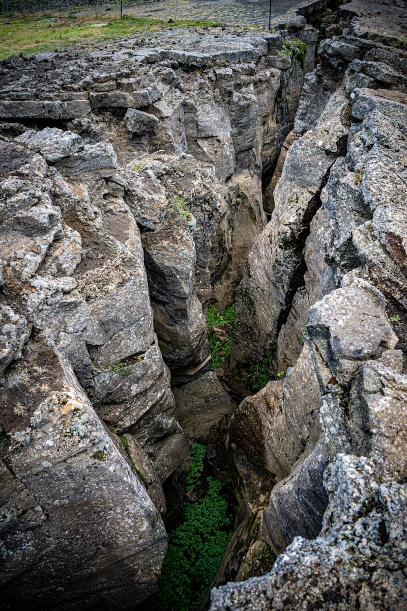 Deep geological fissure with green vegetation below