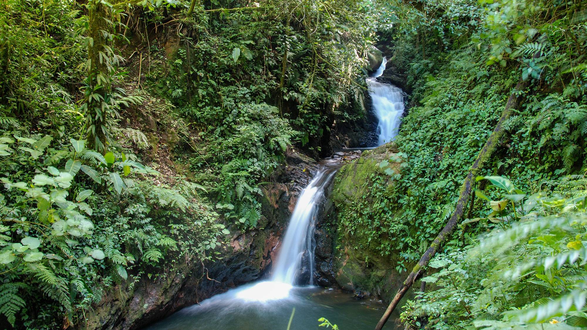 Waterfall on a Hike in the Monteverde Cloud Forest Biological Reserve