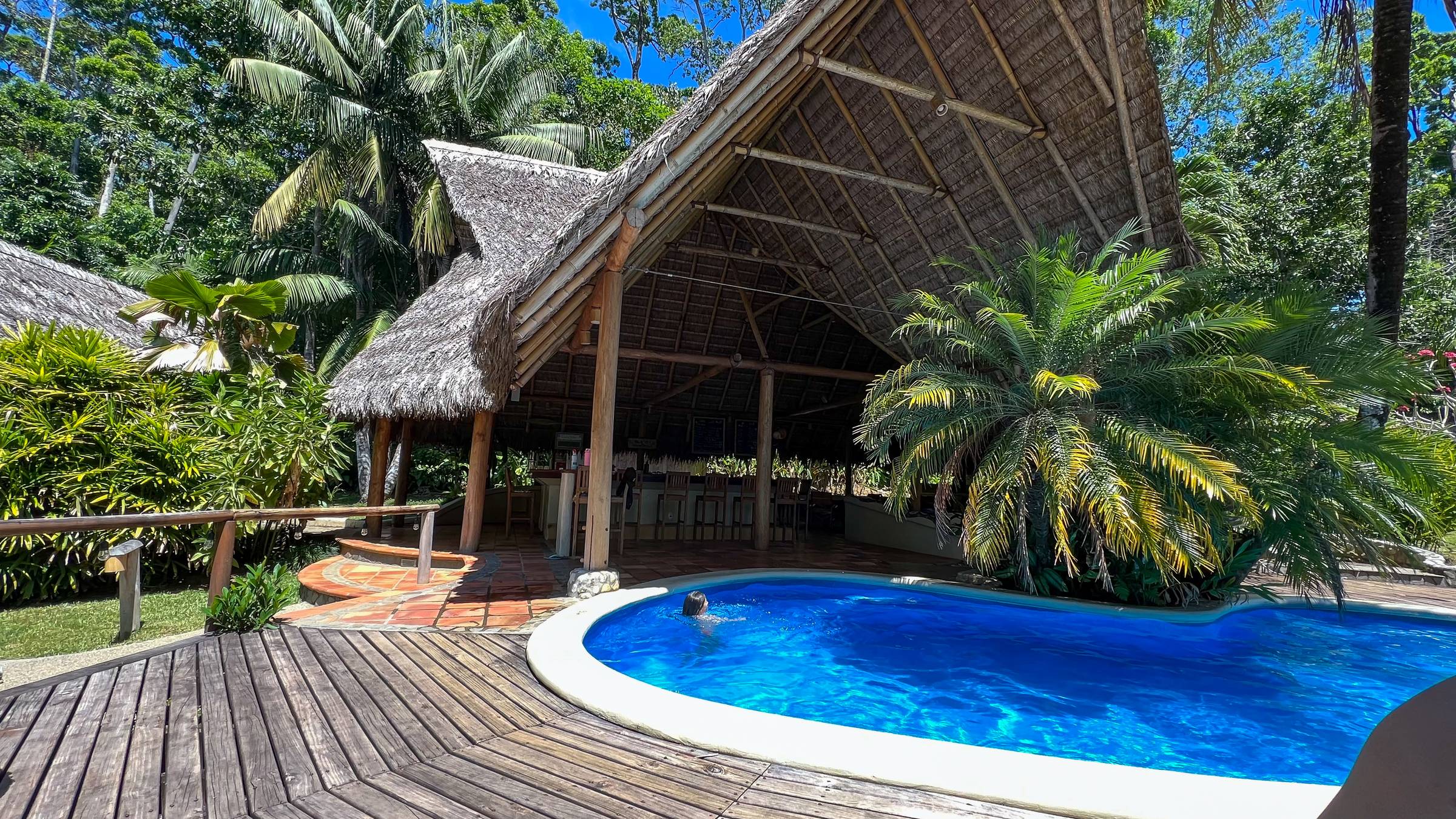 Rainforest Surrounding the Pool at Bosque Del Cabo Rainforest Lodge