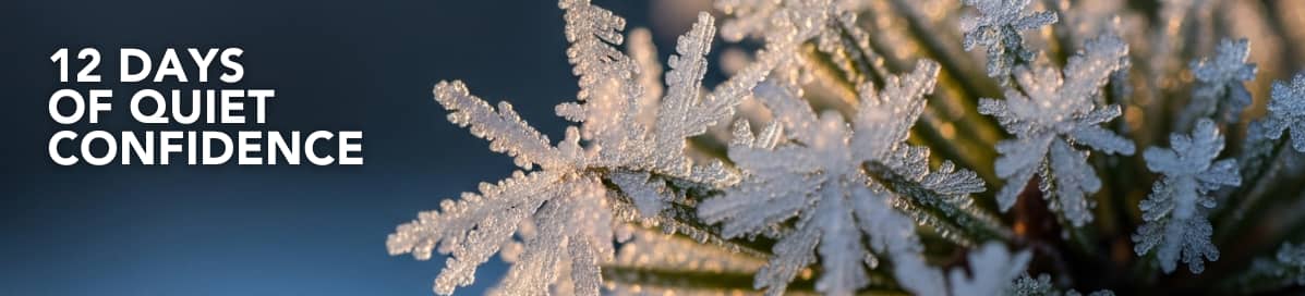 A close up of frozen fronds from a Christmas tree. The ice sparkles in the sunlight. To the left of the image are the words "12 Days of Quiet Confidence"