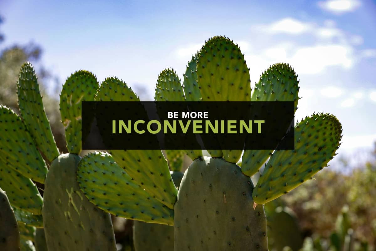 A photo of prickly cacti with a panel of text over the image that reads "Be more inconvenient".