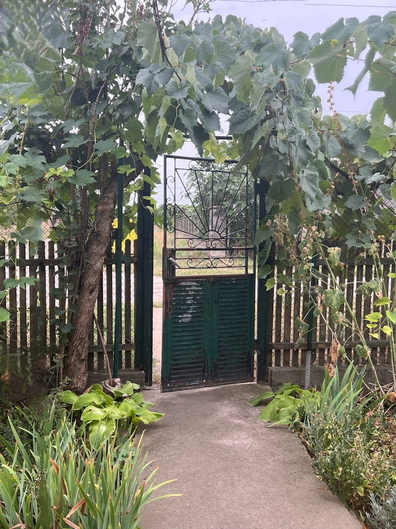 A gated entrance to a lush green garden