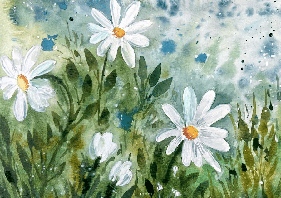 watercolour daisies