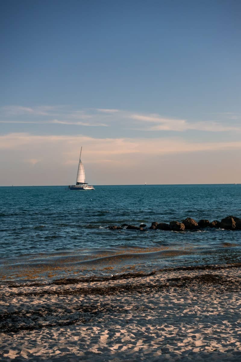 A sailboat on the blue ocean near a sandy beach with rocky outcrops
