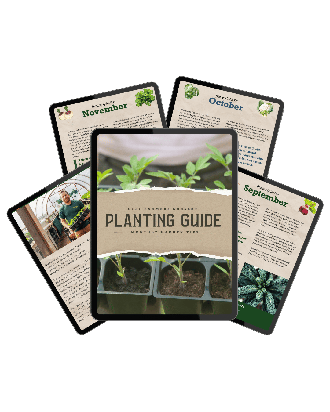 your-year-round-southern-california-planting-guide
