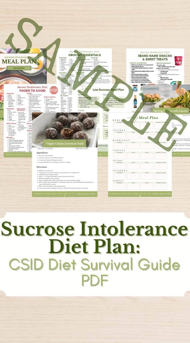 CSID Diet Survival Guide PDF