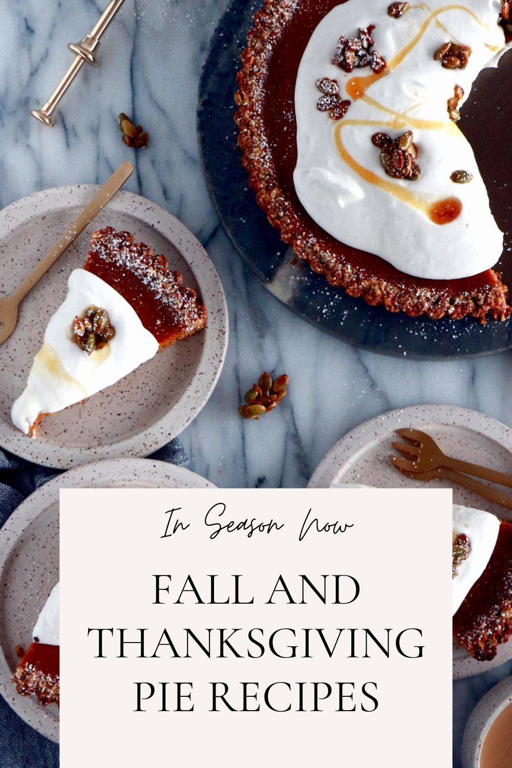 Fantastic Fall and Thanksgiving Pies