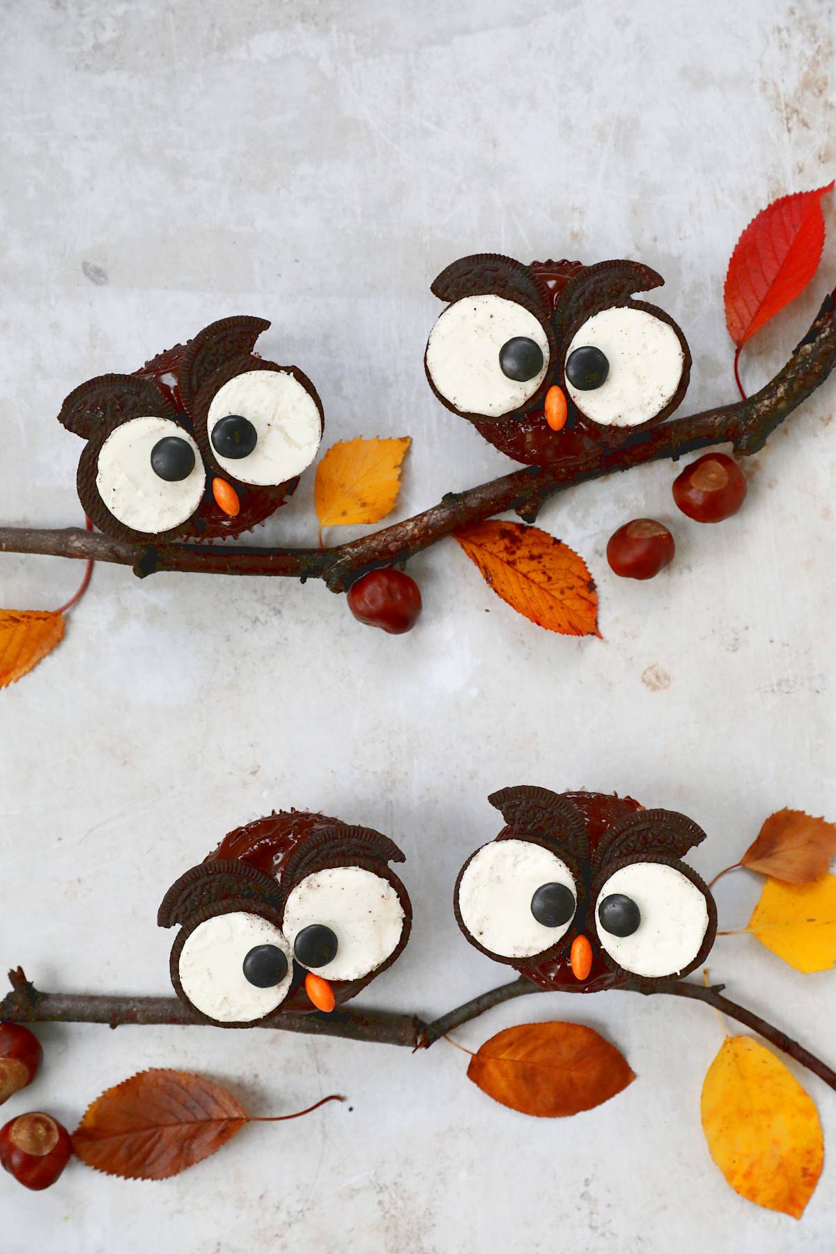 NEW! Halloween Owl Cupcakes