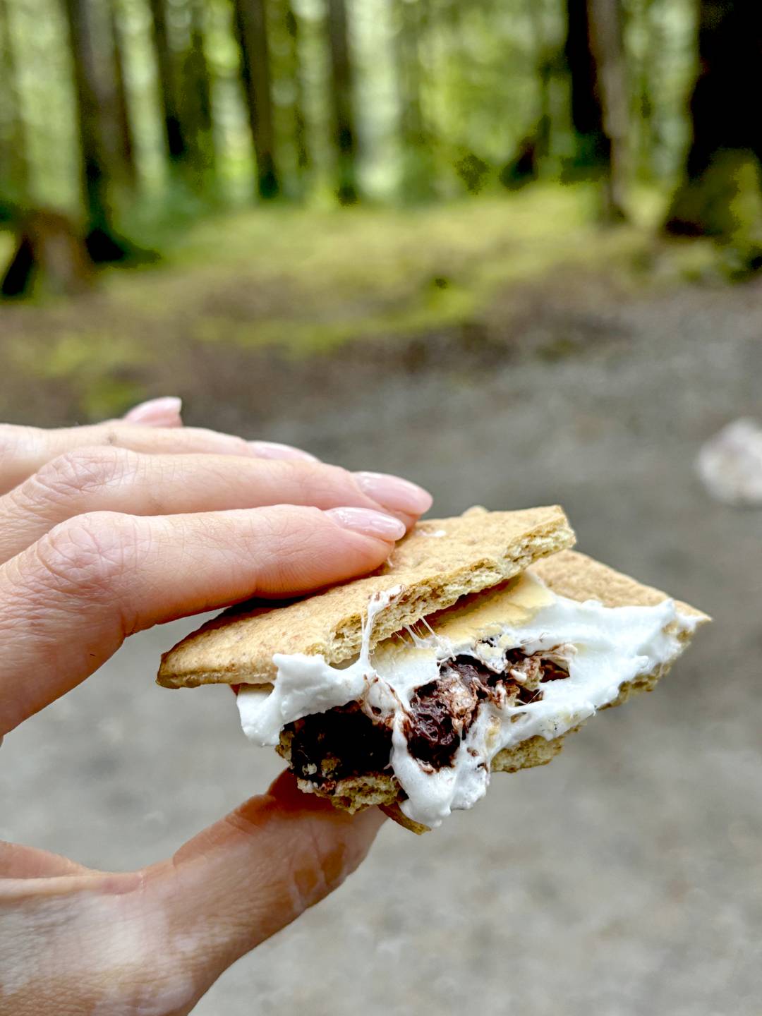 Campfire S’mores (+ indoor version)