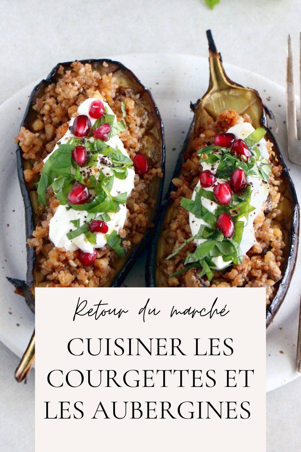 Dans mon panier : courgettes et aubergines