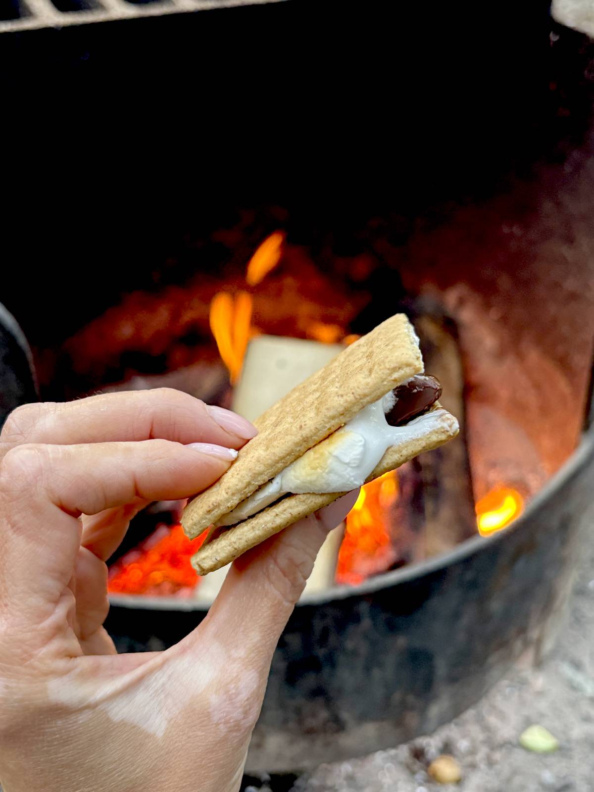 NEW! Campfire S’mores (+ indoor version)
