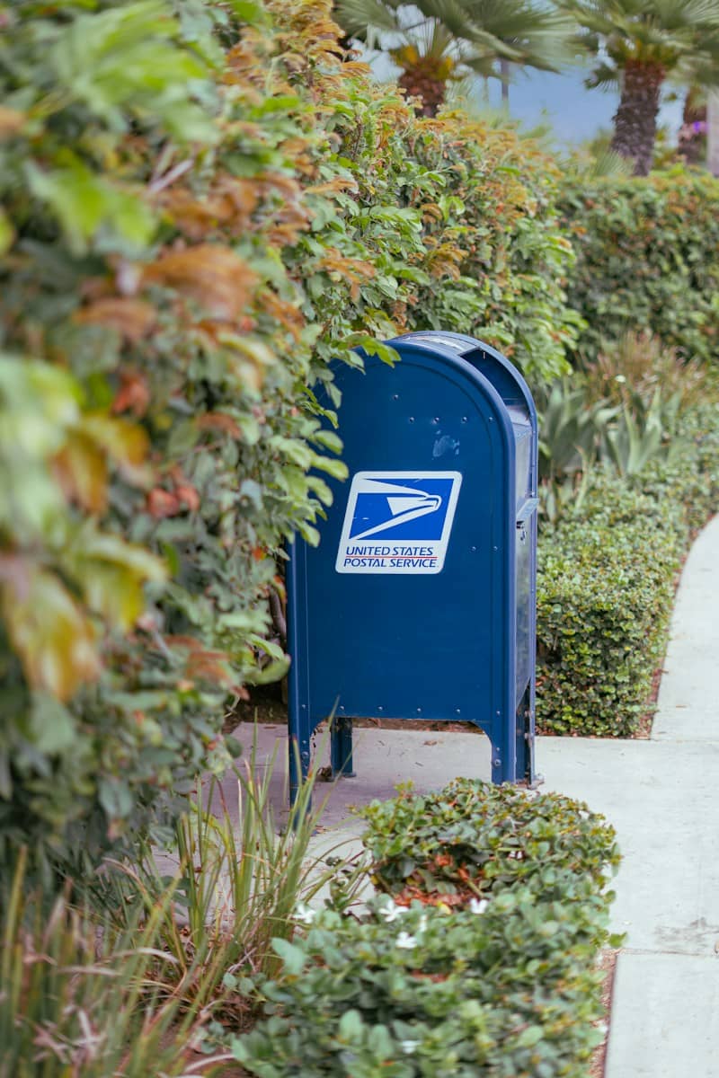 A blue usps mailbox stands among green bushes and plants