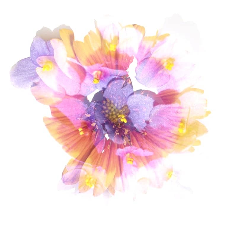Flowers layered for an ethereal and artistic effect.