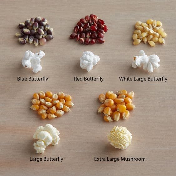 a photo of different types of popcorn