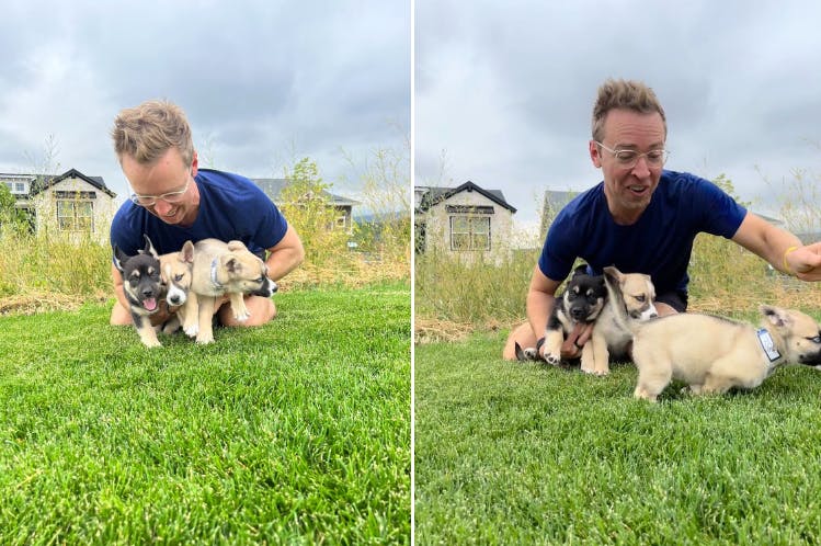 collage of two photos, left Nick holding 3 puppies, right puppies are running away from Nick