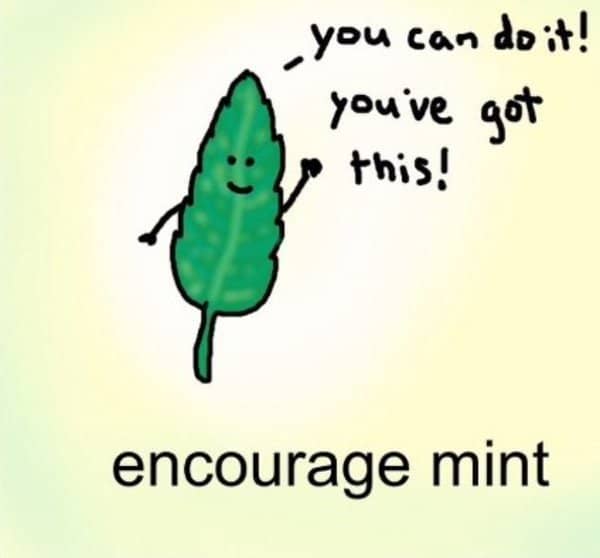 you can do it encourage mint illustration on a yellow gradient background