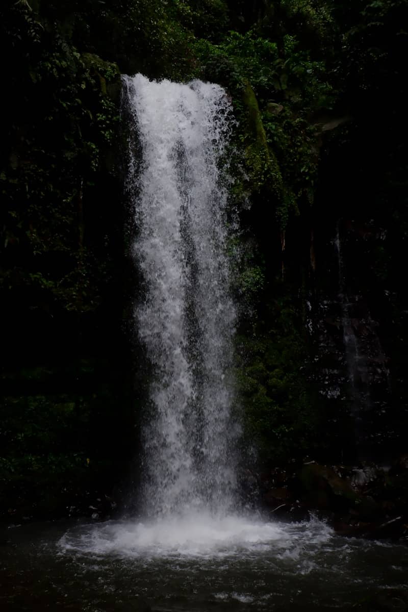 A waterfall cascading down a dark mossy rock face into a pool