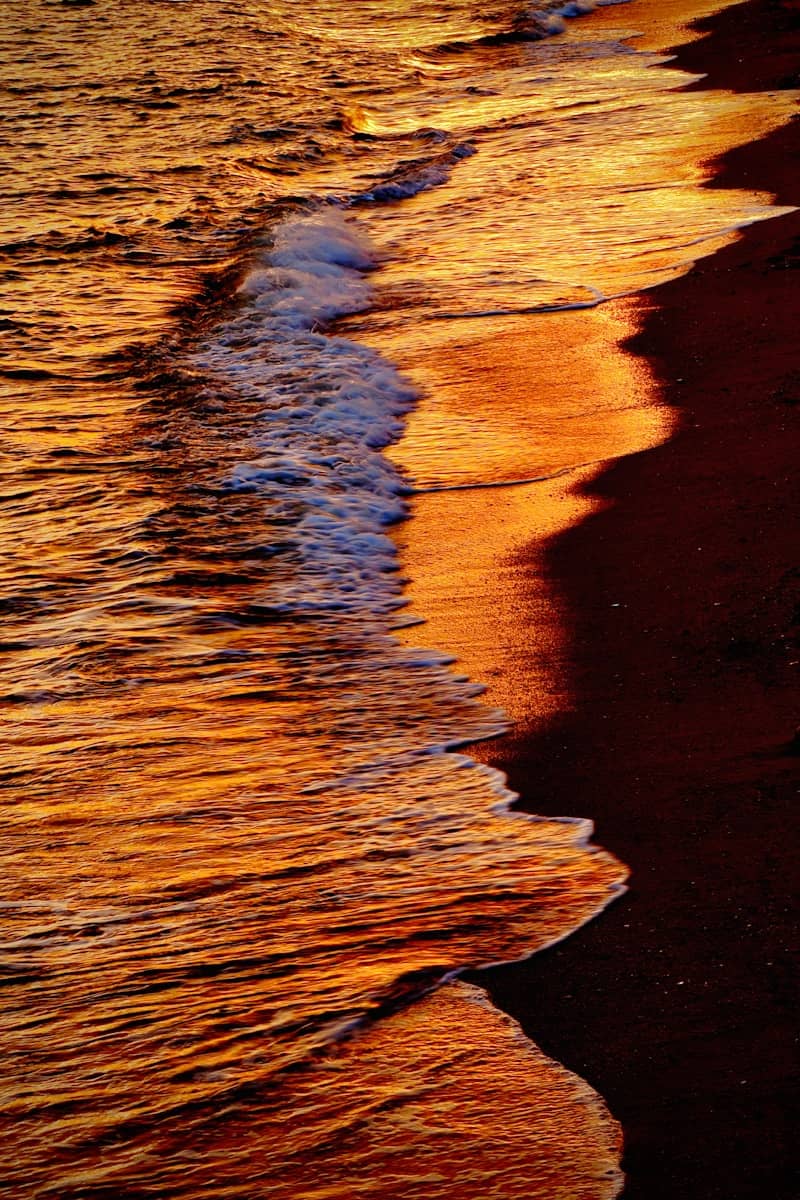 Golden sunset light reflects on ocean waves and wet sand.