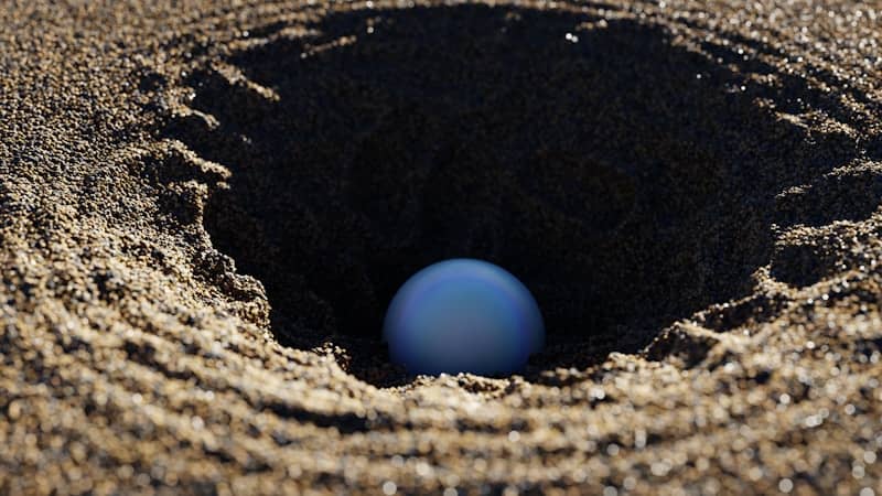 A single blue egg rests in a sandy hole.