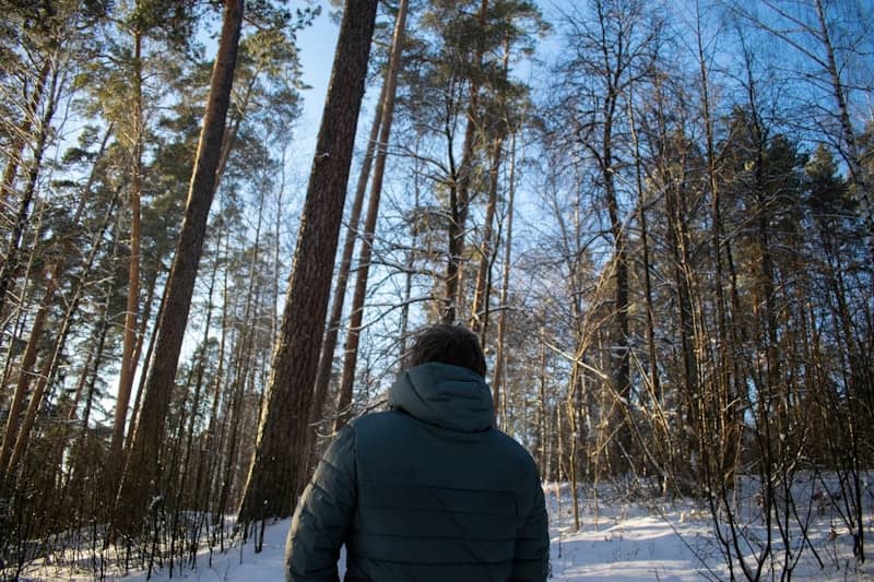 Man walks through a snowy forest.
