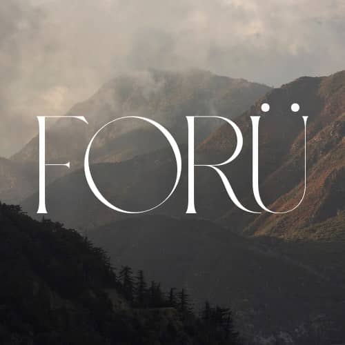 A new chapter for FORÜ.
A clearer brand for a clearer you.

Our website is now live with our updated identity.
To our clients walking this work with us… thank you for trusting us with your growth. We’re just getting started.