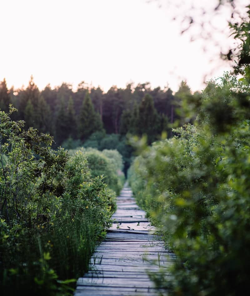 pathway to possibility outdoors