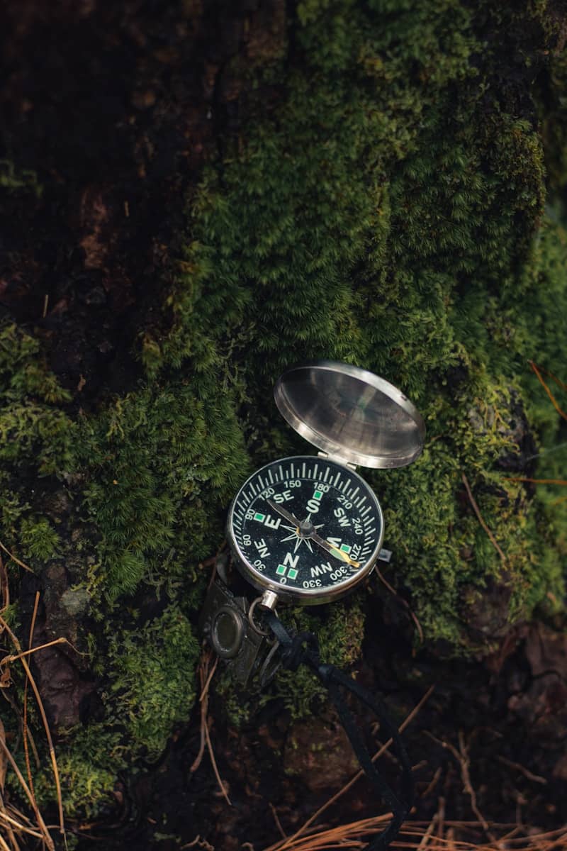 a compass sitting on moss.  reconnect with your inner wisdom.  