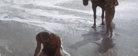 Gif from the final scene of Planet of The Apes