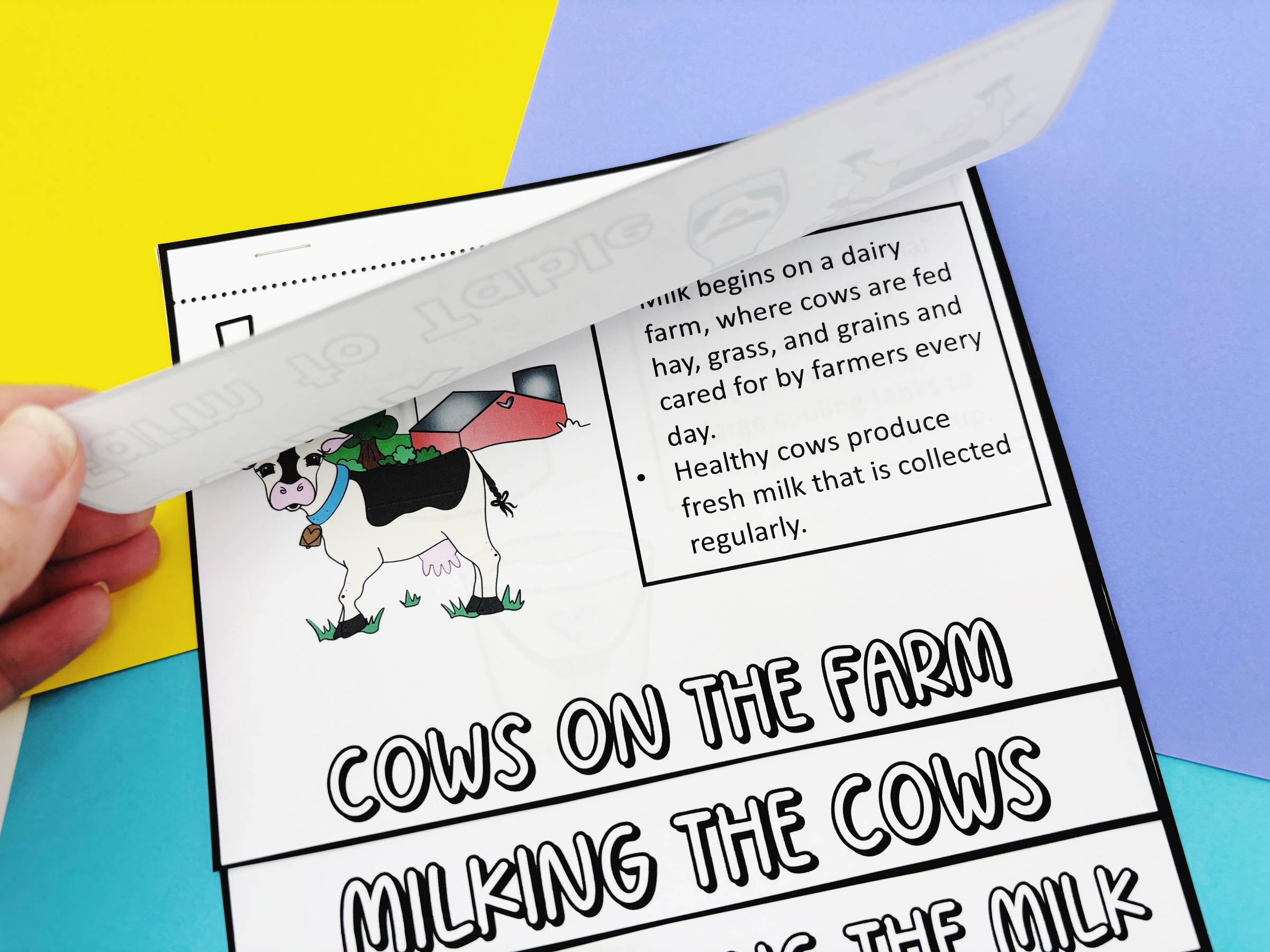 Journey of Milk From Farm-to-Table