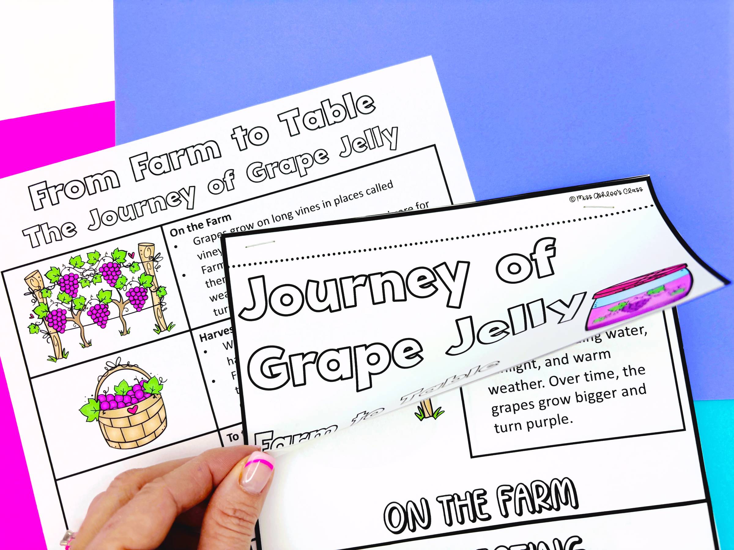 Journey of Grape Jelly Flip Book