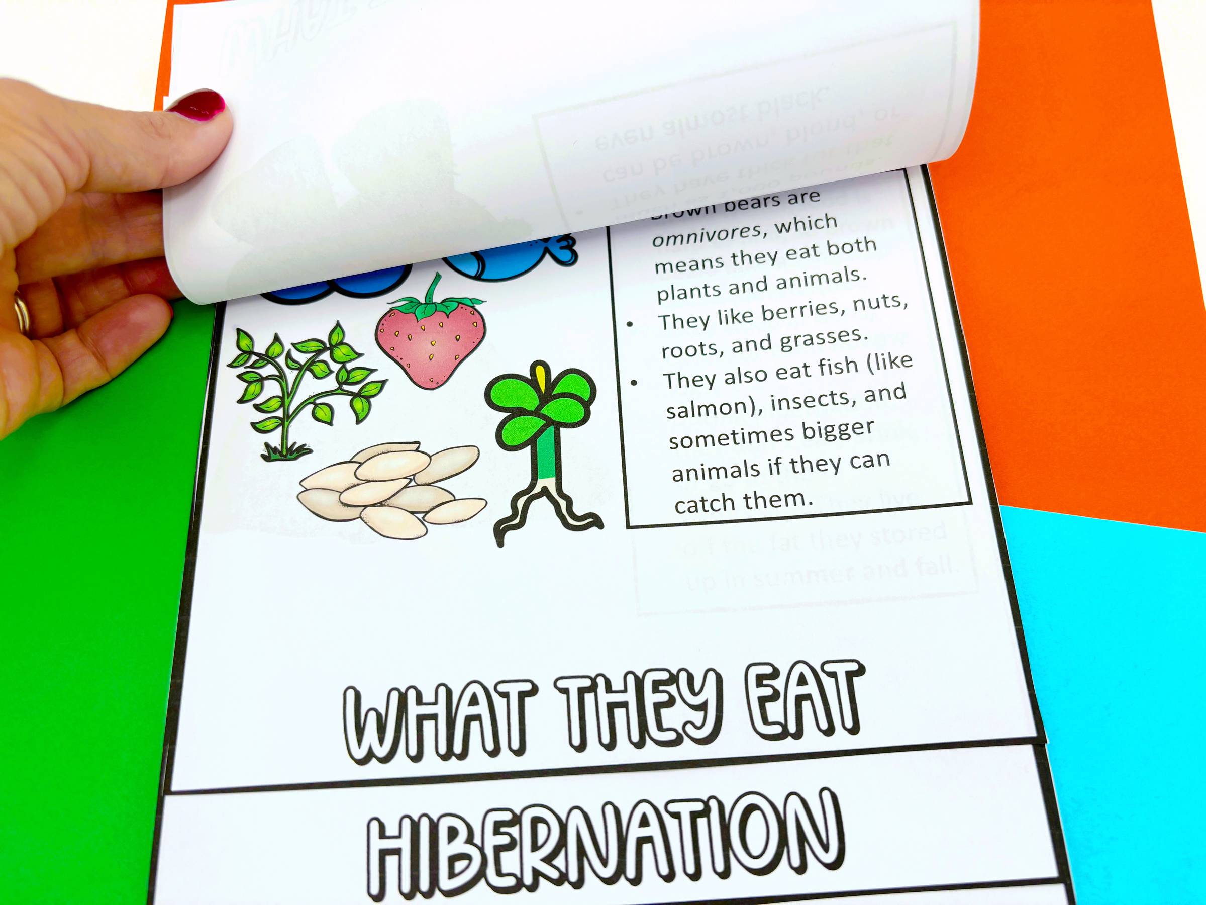 Brown Bear Flip Book Resource for Fat Bear Week