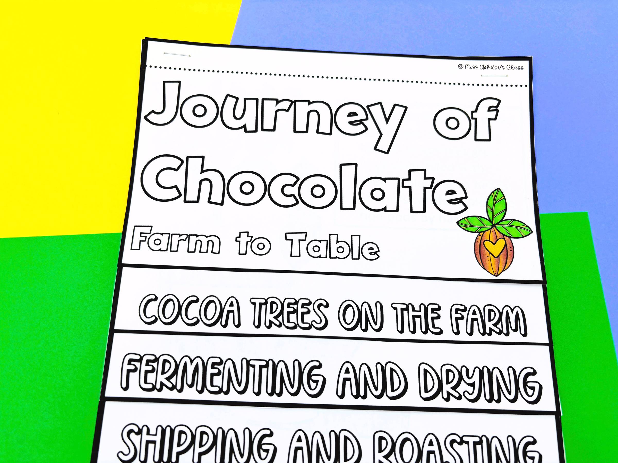 Journey of Chocolate From Farm to Table