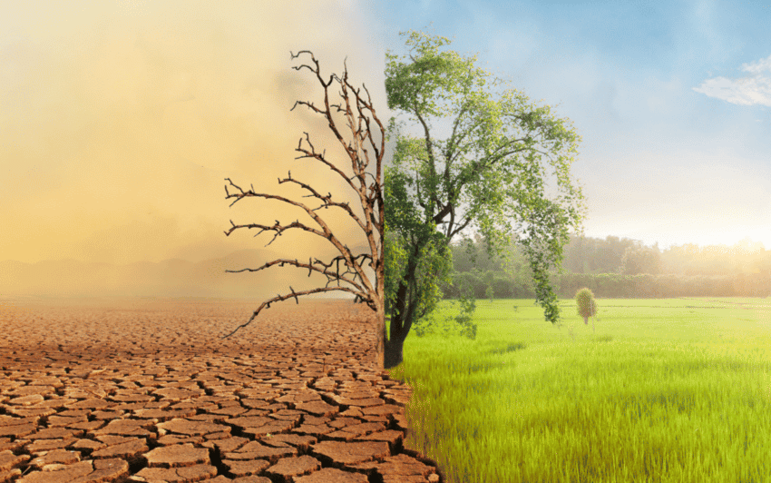 Scarcity to Abundance 