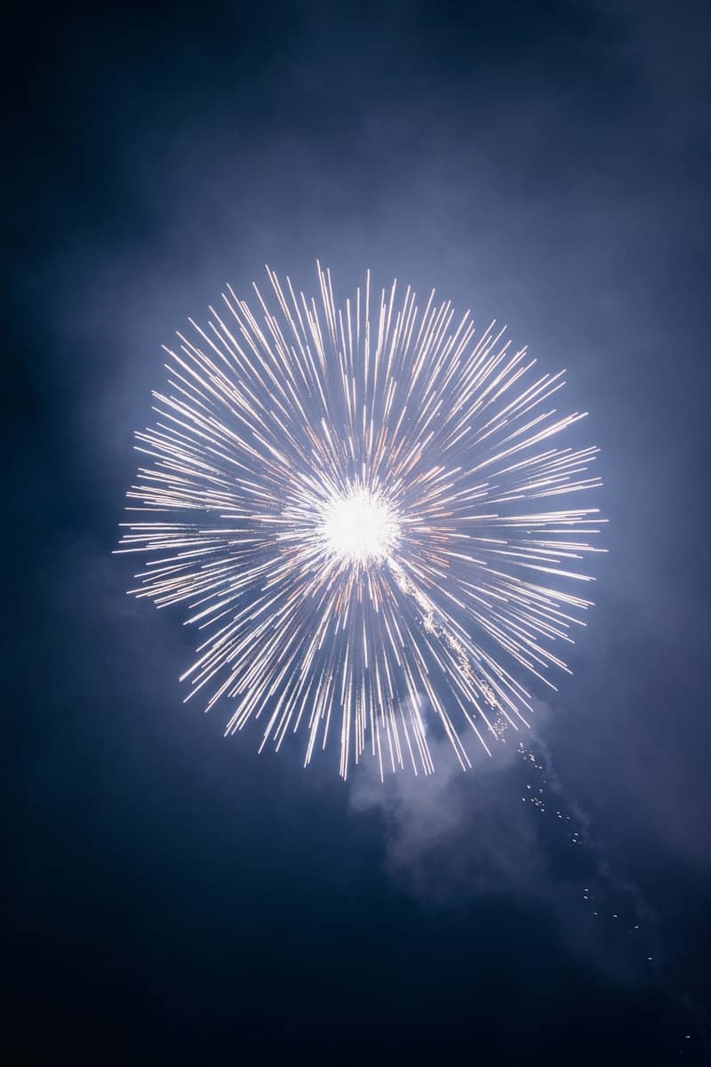 A single white firework explodes in the night sky.