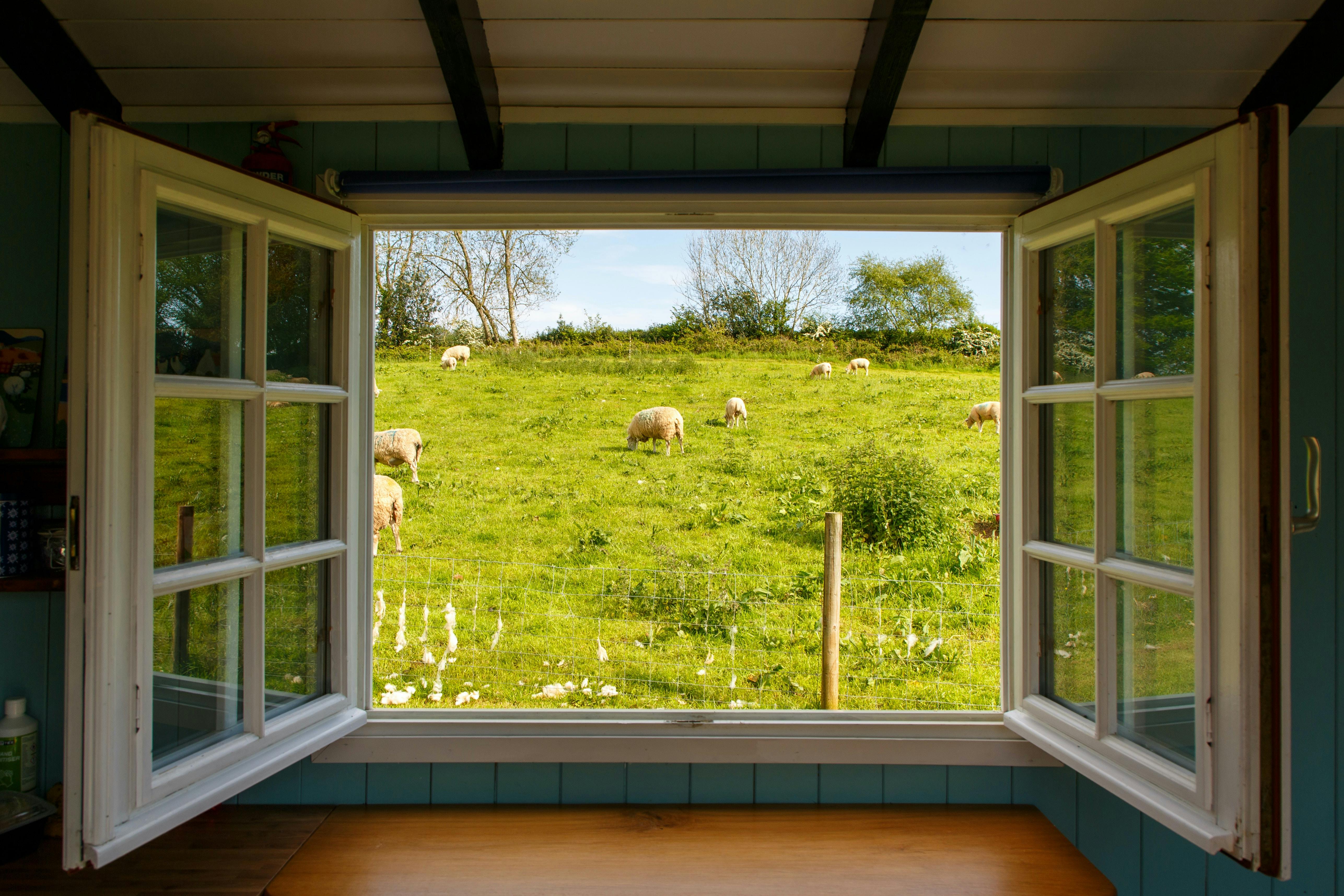 image of open window with field outside