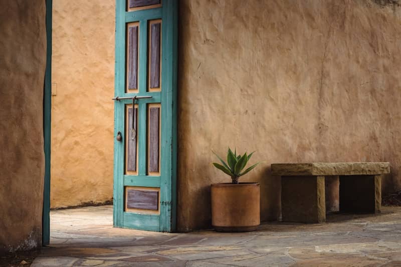 blue wooden door beside green potted plant