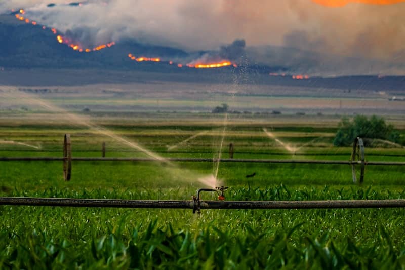 Sprinklers water a field as wildfires burn on distant mountains.