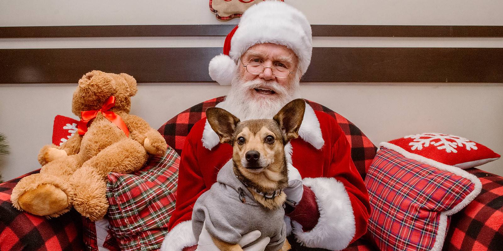 Santa Claus holds a dog on his lap for Santa Paws