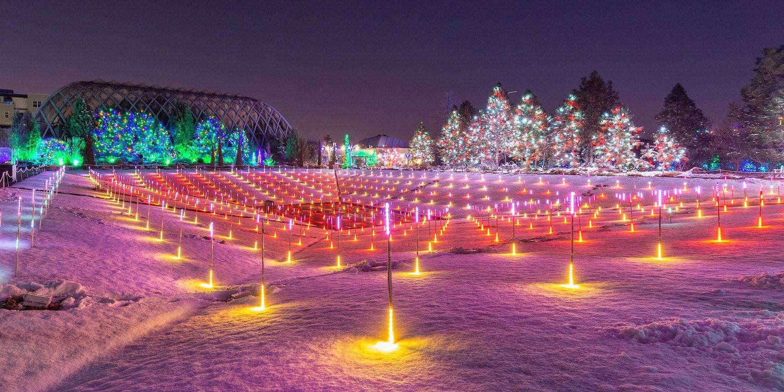 Christmas lights decorate the Denver Botanic Gardens