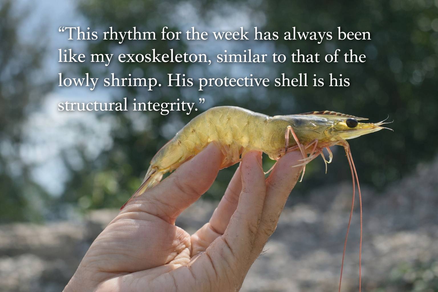 thumbnail placeholder