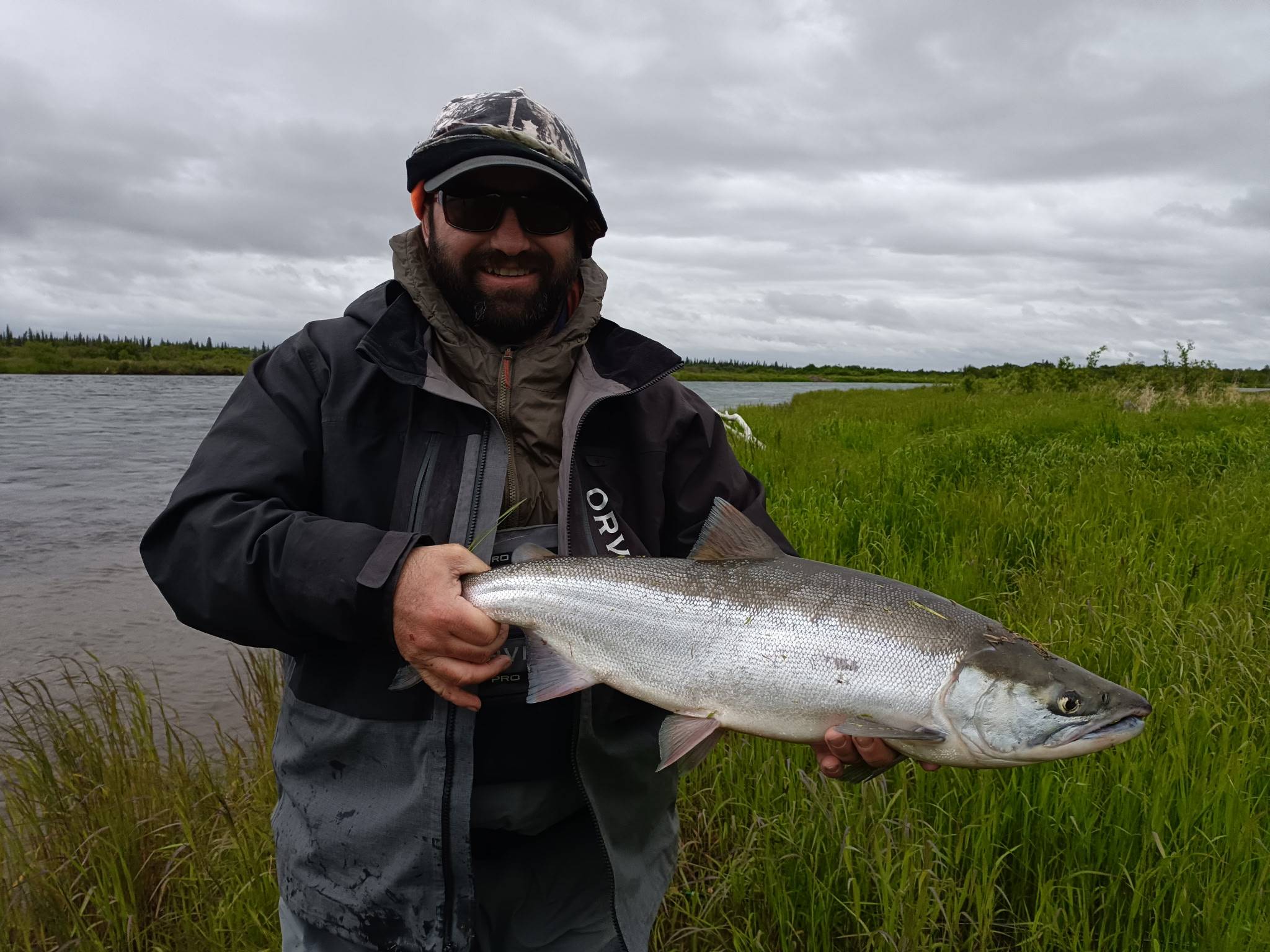 sockeye salmon alaska