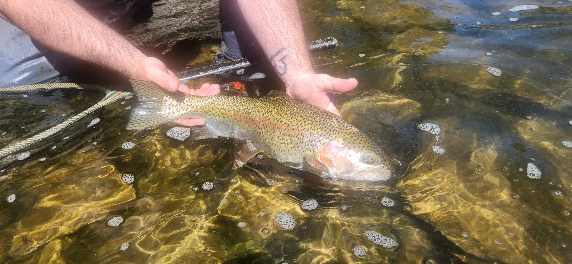 Spring Trout predictions for the northern Rockies.