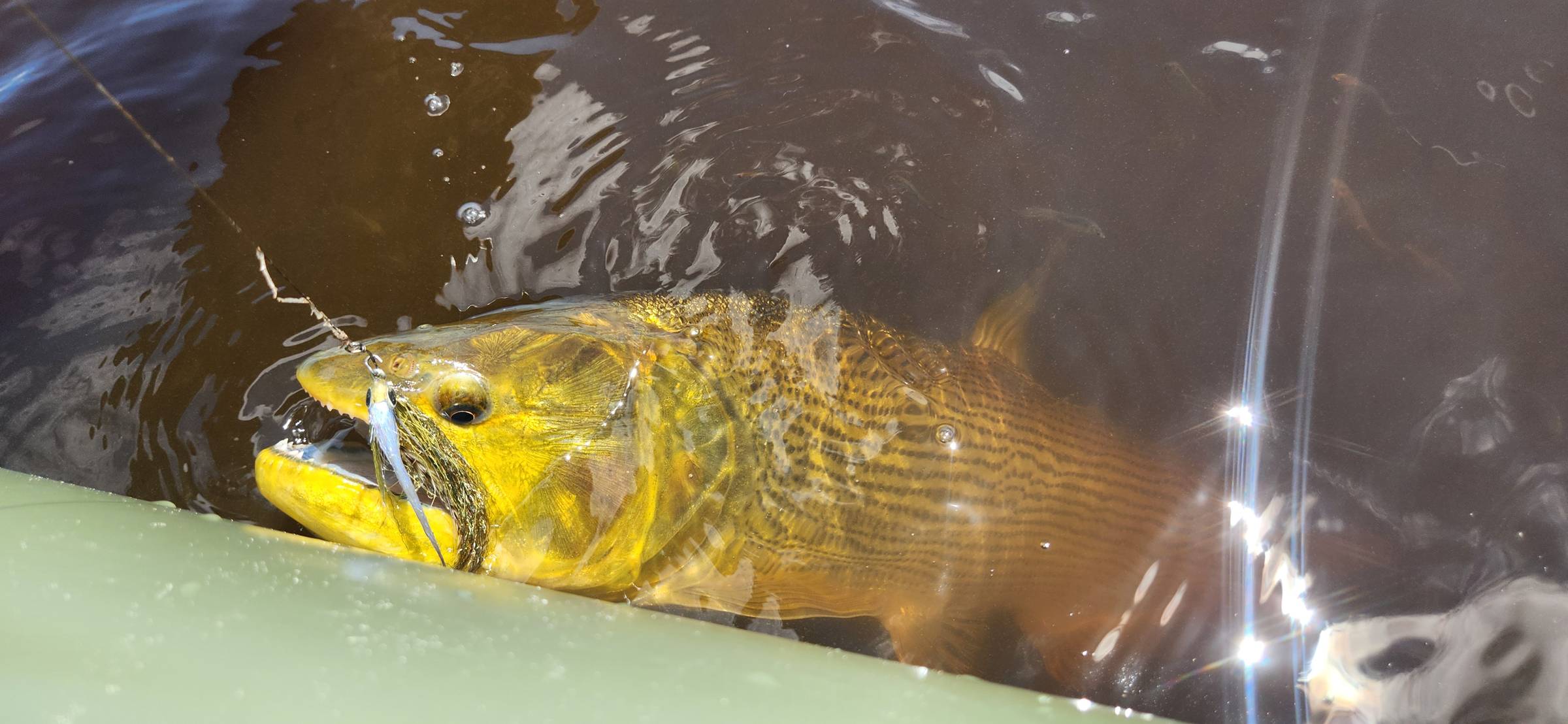 Steel fly fishing leaders