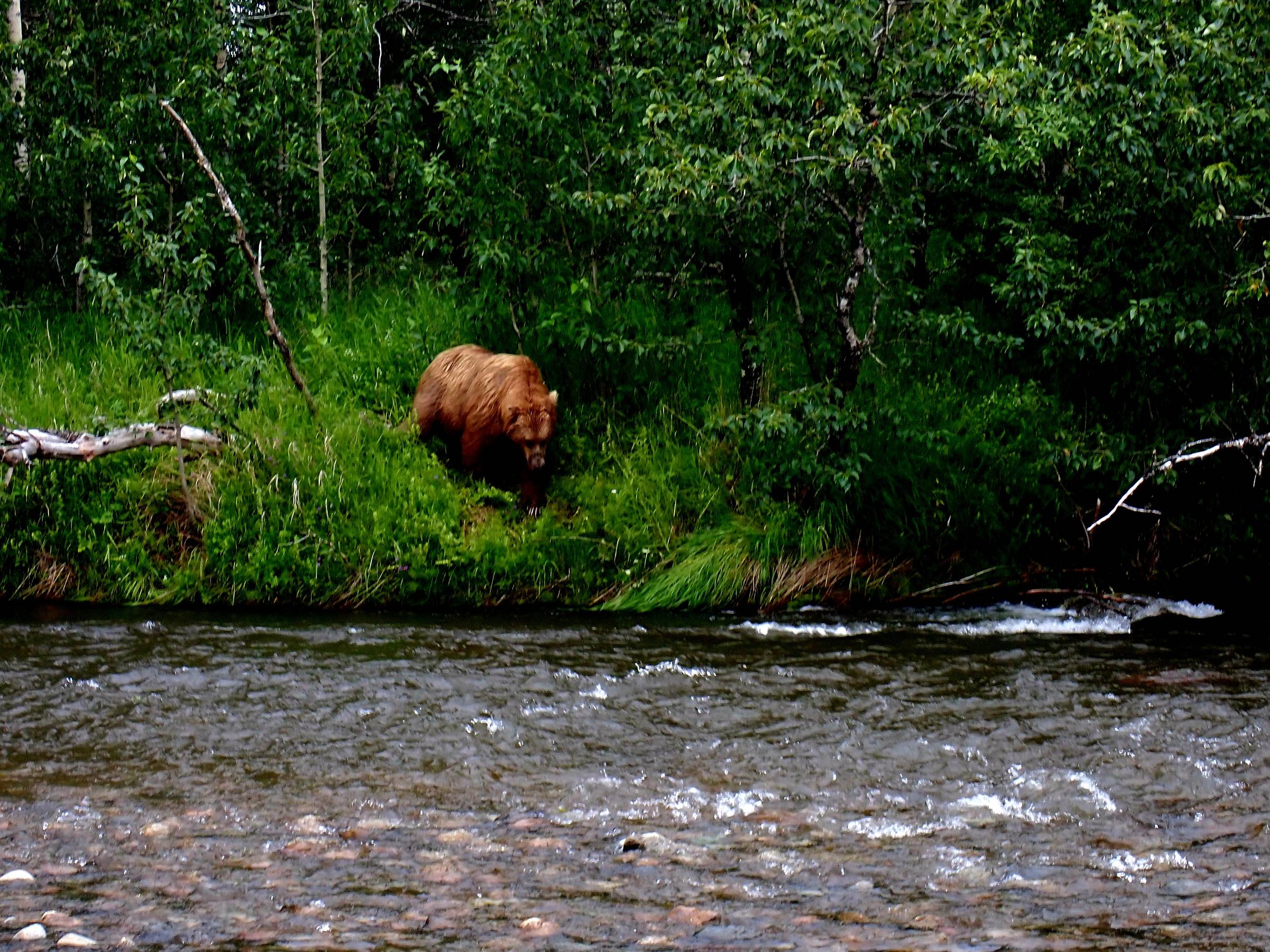 Hosted Fly Fishing Trips