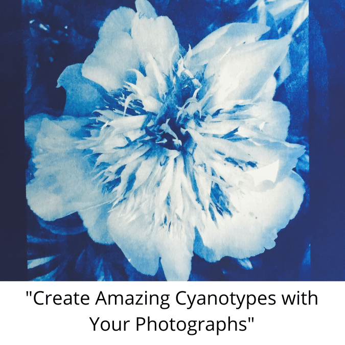 Create Beautiful Cyanotypes with Your Photographs