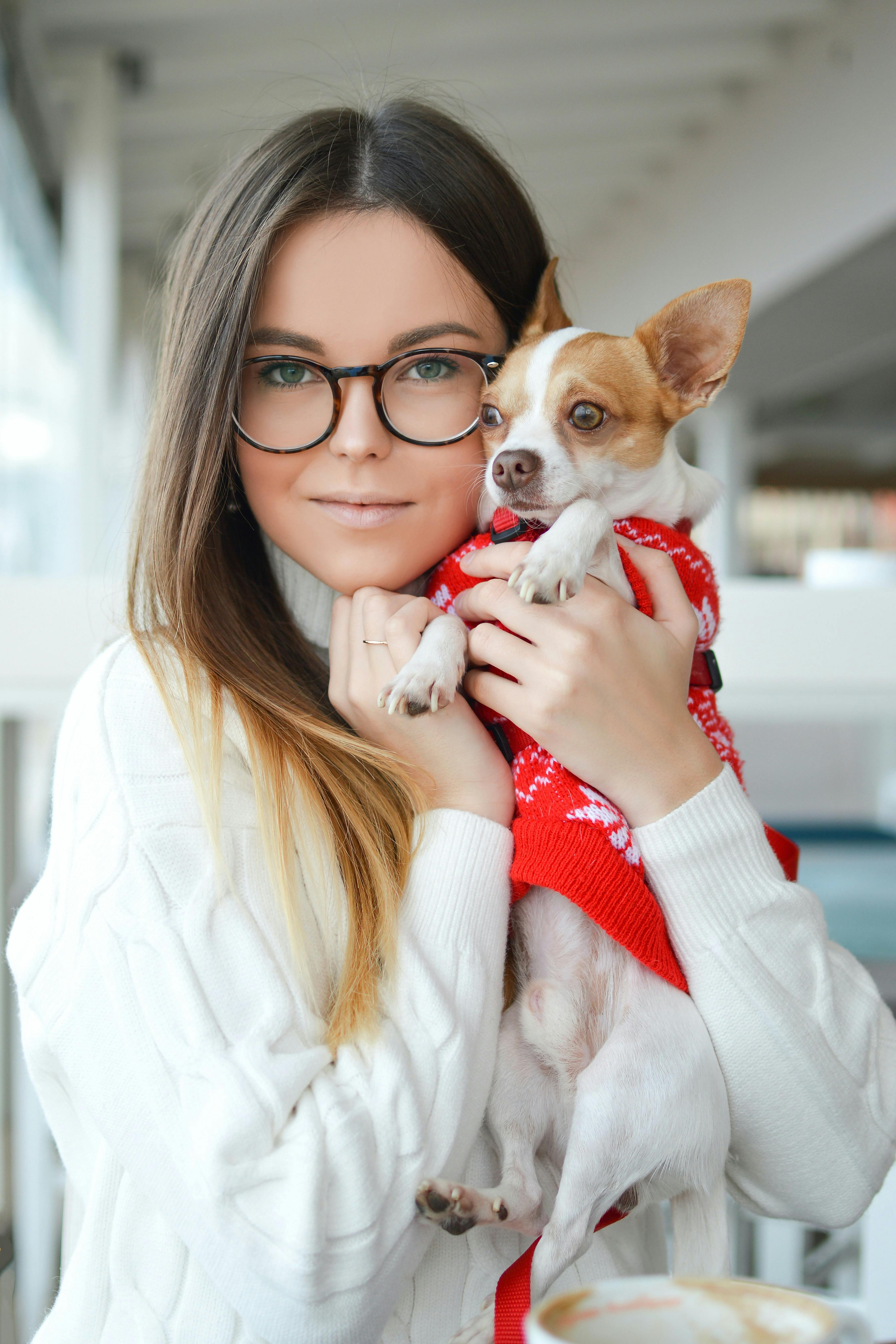 brain-training-for-dogs