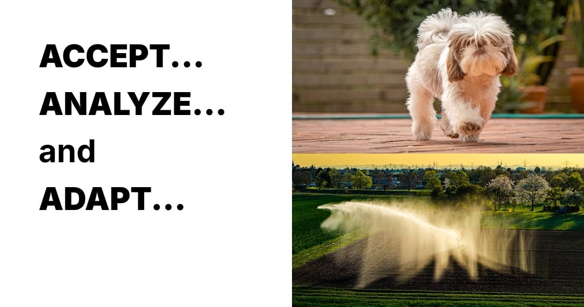 Sometimes life gives you a chance to practice all 3!